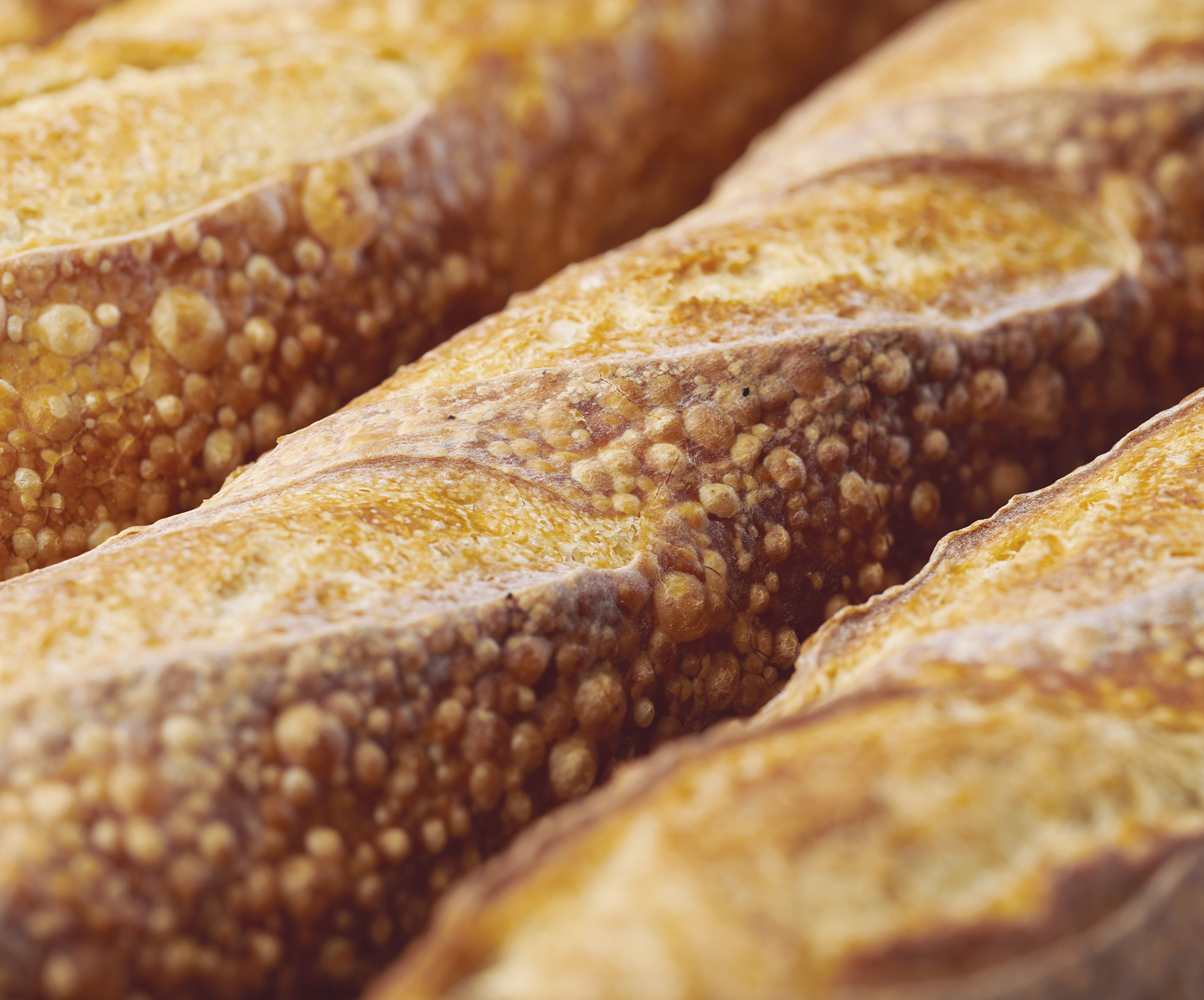 conceptpa_productos_0017_flauta_burbuja_closeup